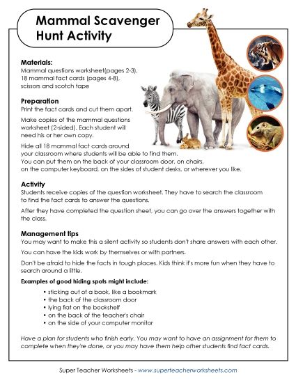 Scavenger Hunts - Mammals Scavenger Hunt (Printable PDF Worksheet)