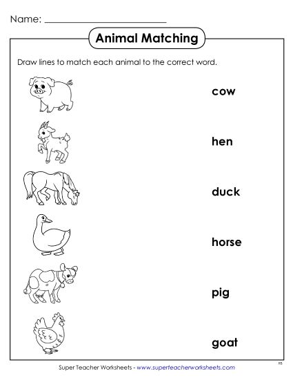 Worksheets and Activities - Matching Worksheet (Printable PDF Worksheet)