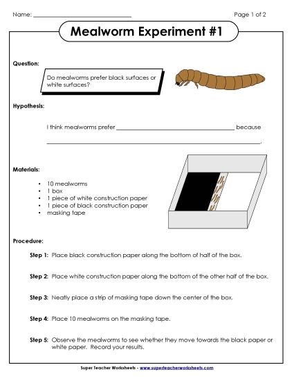 Mealworm Science Experiments - Mealworm Black/White Experiment #1 (Printable PDF Worksheet)
