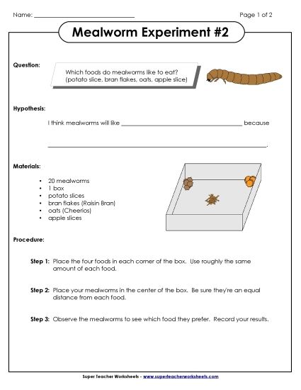 Mealworm Science Experiments - Mealworm Experiment #2 (Printable PDF Worksheet)