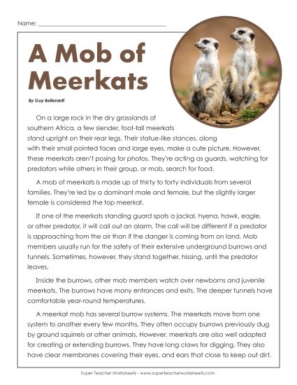 Mammals - Meerkats (Printable PDF Worksheet)