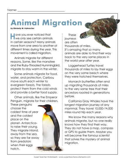 Nonfiction Articles - Migration (Printable PDF Worksheet)