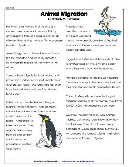 Animal Topics - Migration Article (Printable PDF Worksheet)