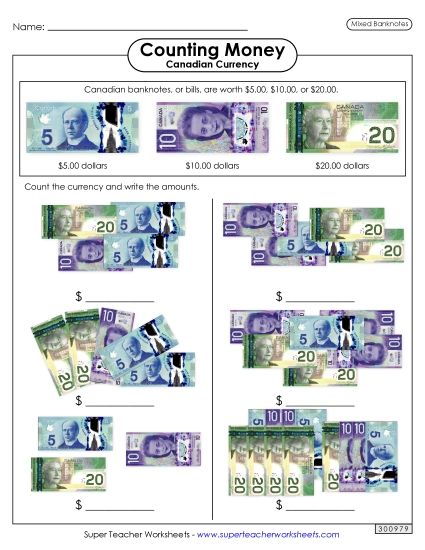 Mixed Coins - Mixed Banknotes (Paper Money Only) (Printable PDF Worksheet)