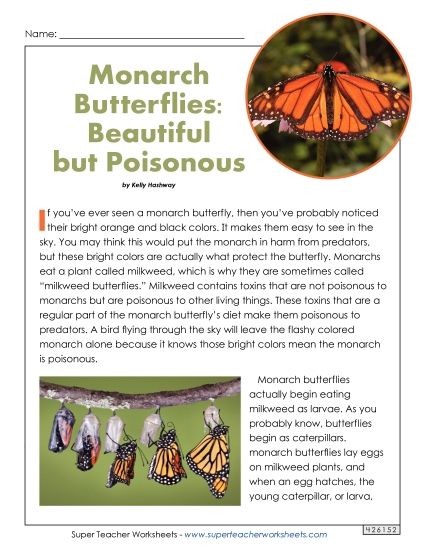 Nonfiction Articles - Monarch Butterfly (Printable PDF Worksheet)