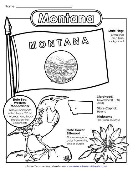 Symbols - Montana State Symbols Coloring Page (Printable PDF Worksheet)