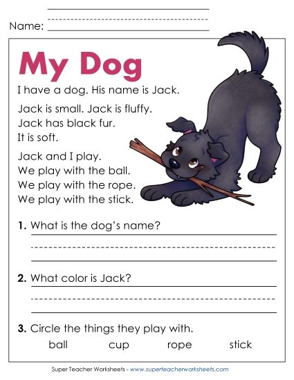 Reading Comprehension and  Additional ELA Skills - My Dog (Printable PDF Worksheet)
