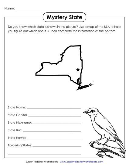 Mystery State Activities - Mystery State: New York (Printable PDF Worksheet)