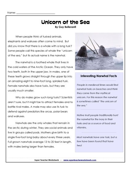 Mammals - Narwhals (Printable PDF Worksheet)