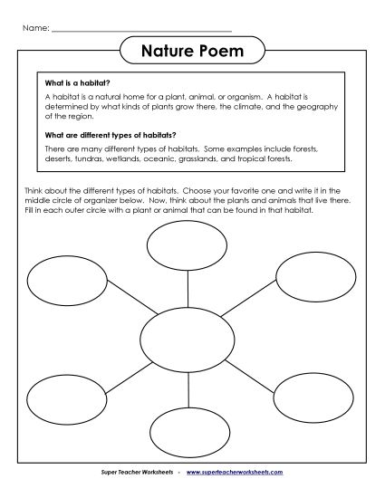 More Poetry Writing - Nature Poem  (Printable PDF Worksheet)