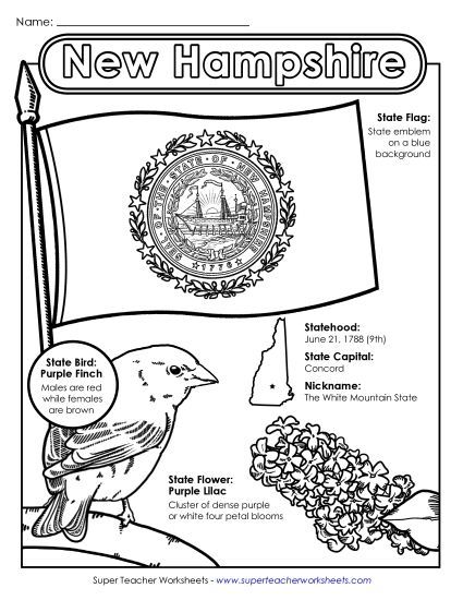 Symbols - New Hampshire State Symbols Coloring Page (Printable PDF Worksheet)