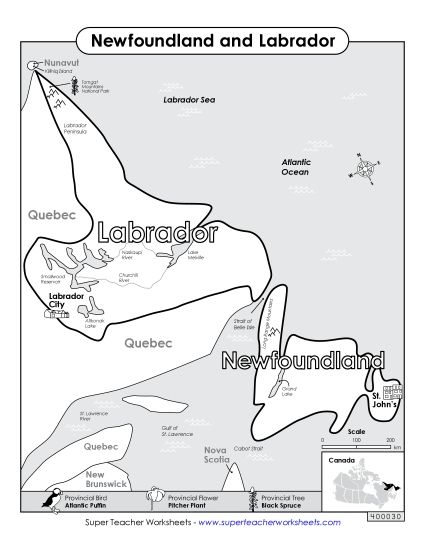 Maps - Newfoundland and Labrador Map (Black & White) (Printable PDF Worksheet)