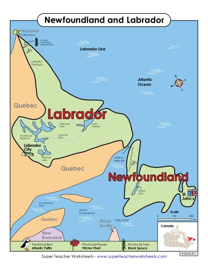 Maps - Newfoundland and Labrador Map (Full Colour) (Printable PDF Worksheet)
