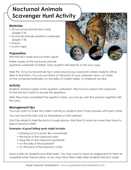 Scavenger Hunts - Nocturnal Animals Scavenger Hunt (Printable PDF Worksheet)