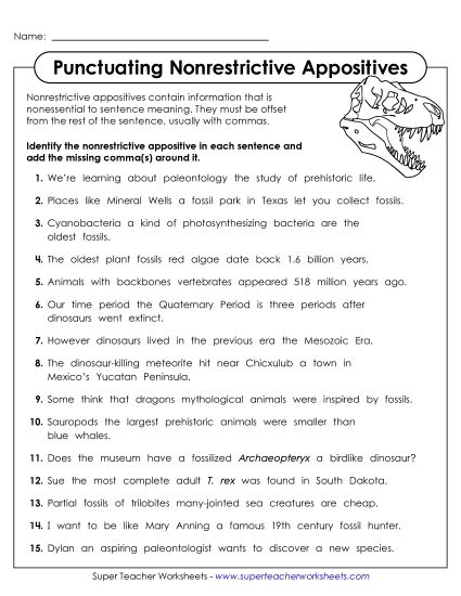 Commas to Offset Non-Essential Information - Nonrestrictive Appositives (Printable PDF Worksheet)