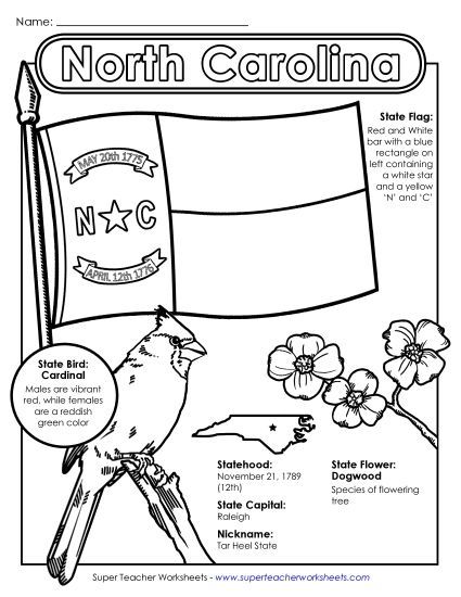 Symbols - North Carolina State Symbols Coloring Page (Printable PDF Worksheet)