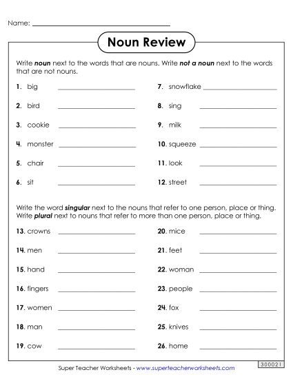 Mixed Noun Skills - Noun Review (Printable PDF Worksheet)