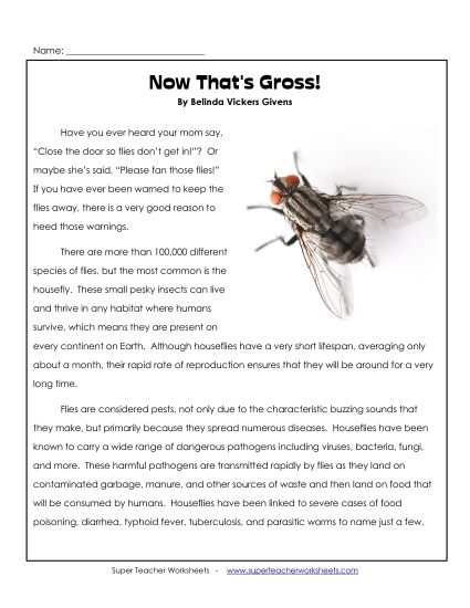 Nonfiction - Now That's Gross!  (Printable PDF Worksheet)