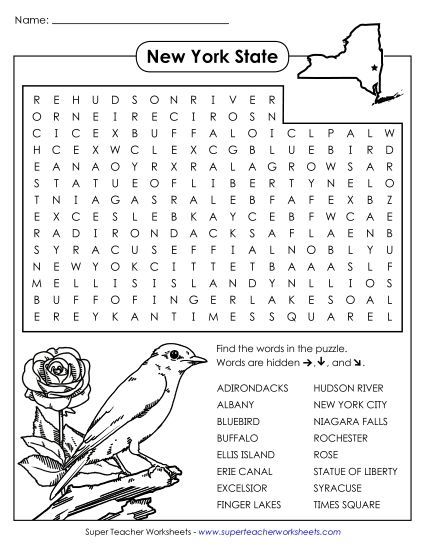 Puzzles - NYS Word Search Puzzle (Printable PDF Worksheet)