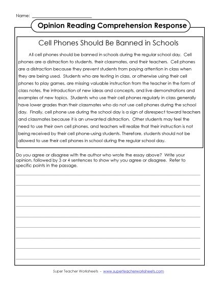 Opinion Piece Response  - Opinion Reading Comprehension Response (Printable PDF Worksheet)