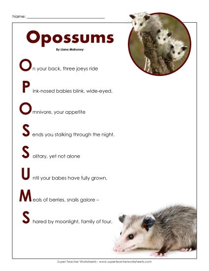 5th Grade Poems - Opossum (Printable PDF Worksheet)