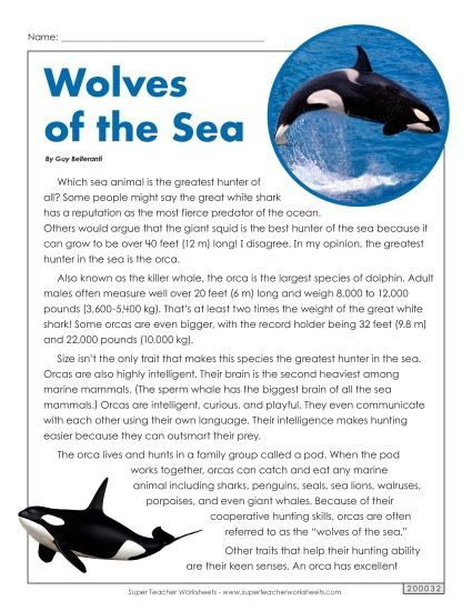 Reading Comprehension - Orcas: Wolves of the Sea (Non-Fiction) (Printable PDF Worksheet)