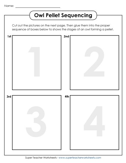 Owl Pellets - Owl Pellet Sequencing (Printable PDF Worksheet)