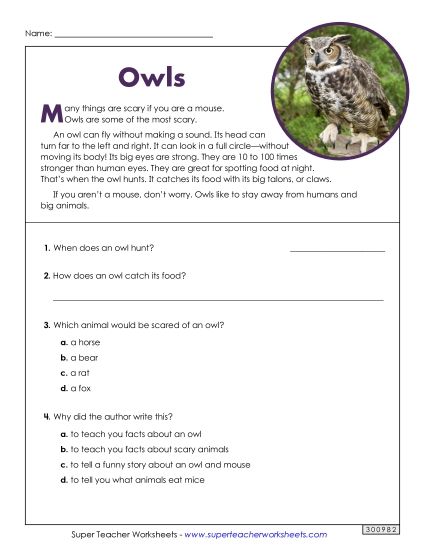 Birds - Owls (Short) (Printable PDF Worksheet)