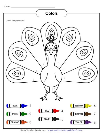 Multiple Colors - Peacock Colors (Printable PDF Worksheet)
