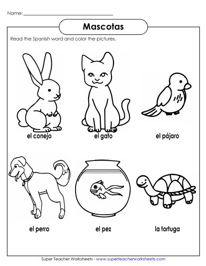 Pets (Mascotas) - Pet Pictures (Printable PDF Worksheet)