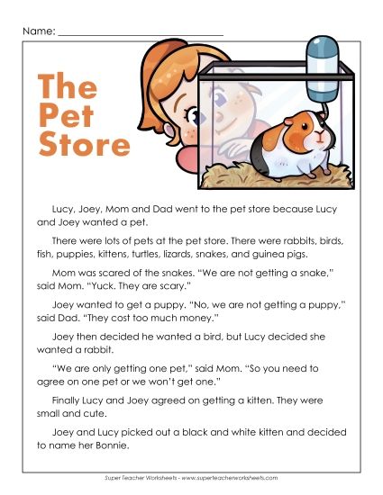 Fiction - Pet Store (Printable PDF Worksheet)