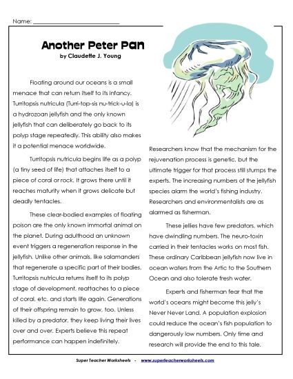 Other Animals - Peter Pan Jellyfish (Printable PDF Worksheet)