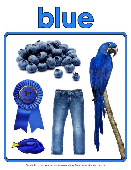 Blue - Photo Anchor Chart (Blue) (Printable PDF Worksheet)