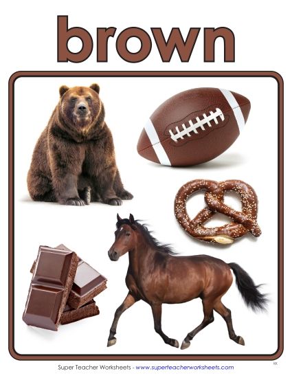 Brown - Photo Anchor Chart (Brown) (Printable PDF Worksheet)