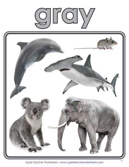 Gray - Photo Anchor Chart (Gray) (Printable PDF Worksheet)