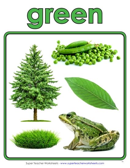 Green - Photo Anchor Chart (Green) (Printable PDF Worksheet)