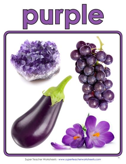 Purple - Photo Anchor Chart (Purple) (Printable PDF Worksheet)