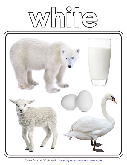 White - Photo Anchor Chart (White) (Printable PDF Worksheet)