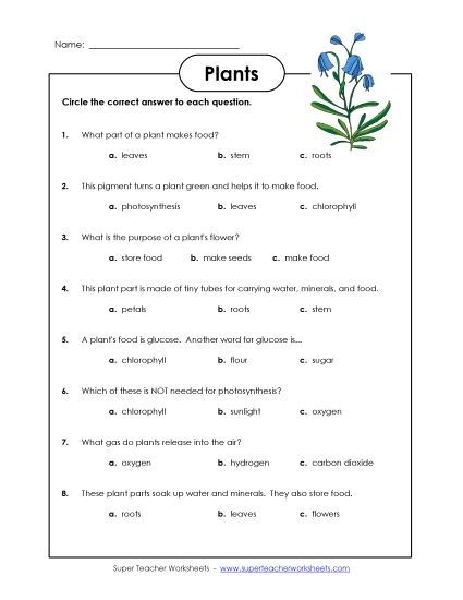Plant Worksheets (Intermediate) - Plant Questions (Printable PDF Worksheet)