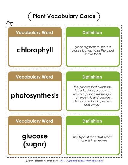 Plant Worksheets (Intermediate) - Plant Vocab Cards (Intermediate) (Printable PDF Worksheet)