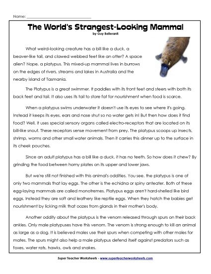 Mammals - Platypus Article (Printable PDF Worksheet)