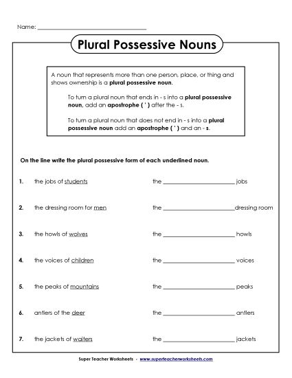 Plural Possessive Only - Plural Possessive Nouns (Printable PDF Worksheet)