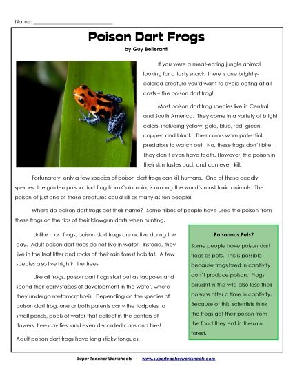Amphibians - Poison Dart Frogs Article (Printable PDF Worksheet)