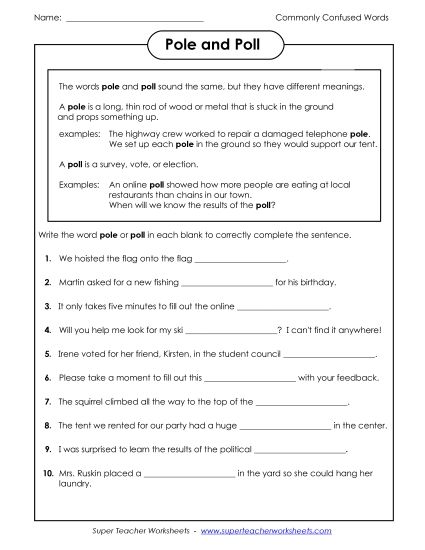 Pole and Poll (Printable PDF Worksheet)