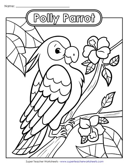Advanced Pictures (For Older Students) - Polly Parrot (Printable PDF Worksheet)