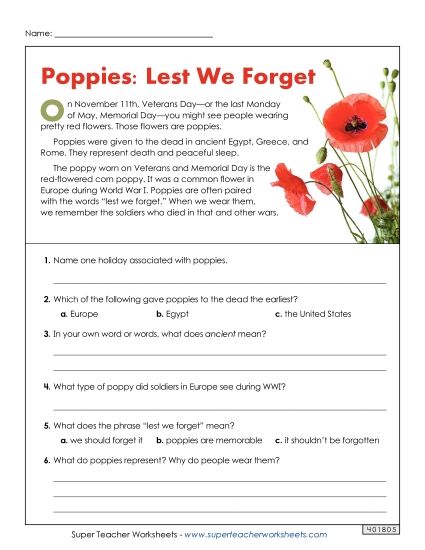 Reading Comprehension - Poppies (Memorial Day Short Article) (Printable PDF Worksheet)