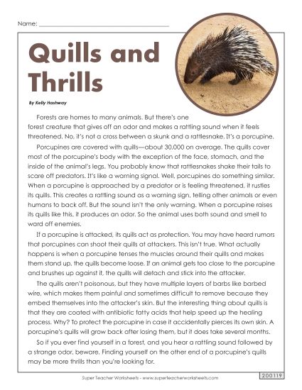 Mammals - Porcupines (Printable PDF Worksheet)