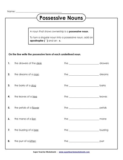 Singular Possessive Only (Basic) - Possessive Nouns (Printable PDF Worksheet)
