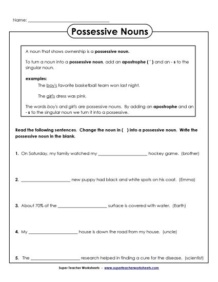 Singular Possessive Only (Basic) - Possessive Sentences (Printable PDF Worksheet)