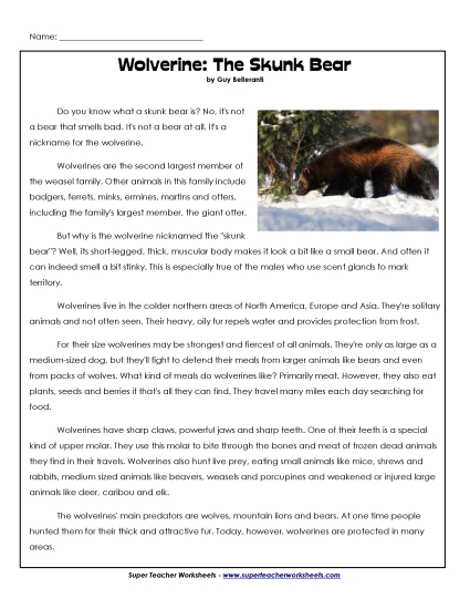 Reading Comprehension - Printable Wolverines Worksheet  (Printable PDF Worksheet)